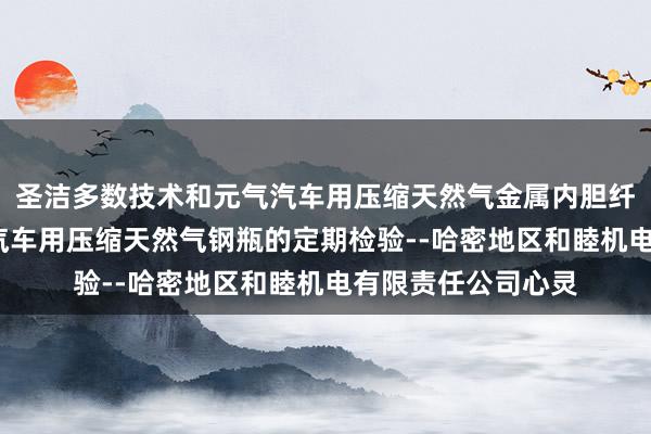 圣洁多数技术和元气汽车用压缩天然气金属内胆纤维环向缠绕气瓶-汽车用压缩天然气钢瓶的定期检验--哈密地区和睦机电有限责任公司心灵